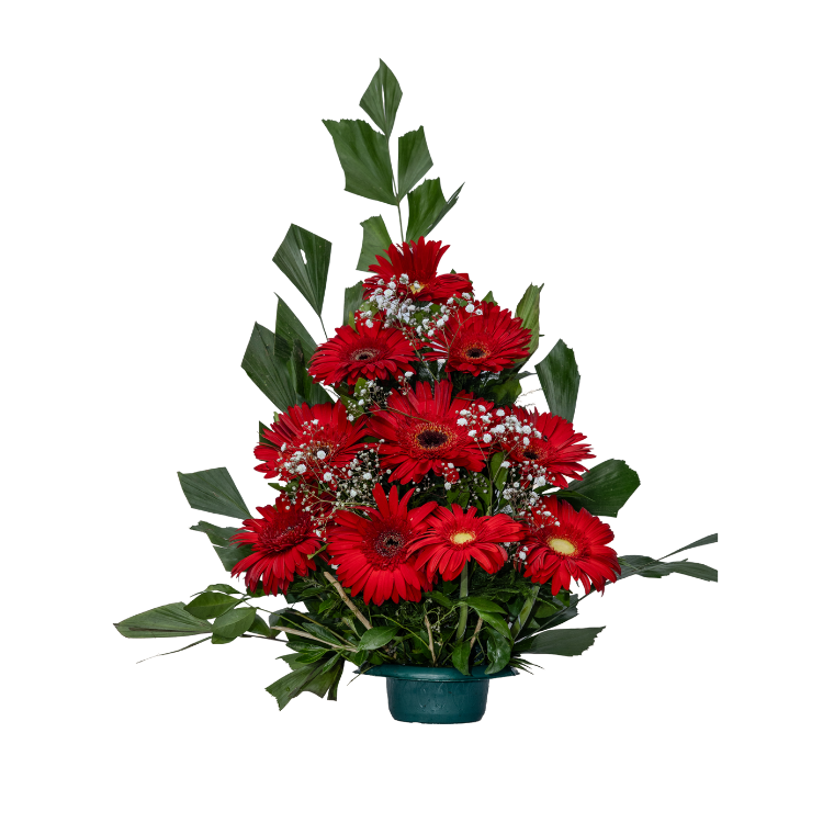 bouquet24