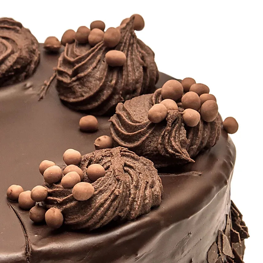 (test product) Death By Chocolate Cake Half Kg